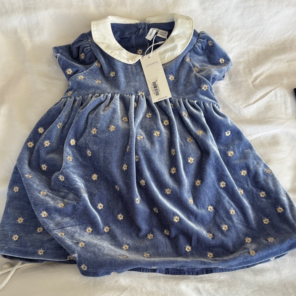 Janie and Jack Blue Velvet Dress with Floral Accents